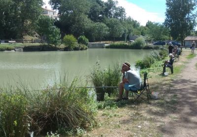 Découvrir les Etangs de la Roche Fontaine