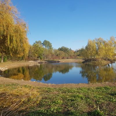 Découvrir l'étang des saules