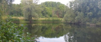 Article en cours de création