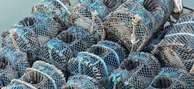 La pêche au casier 